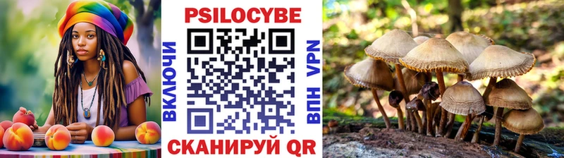 где можно купить наркотик  Вельск  Галлюциногенные грибы Magic Shrooms 